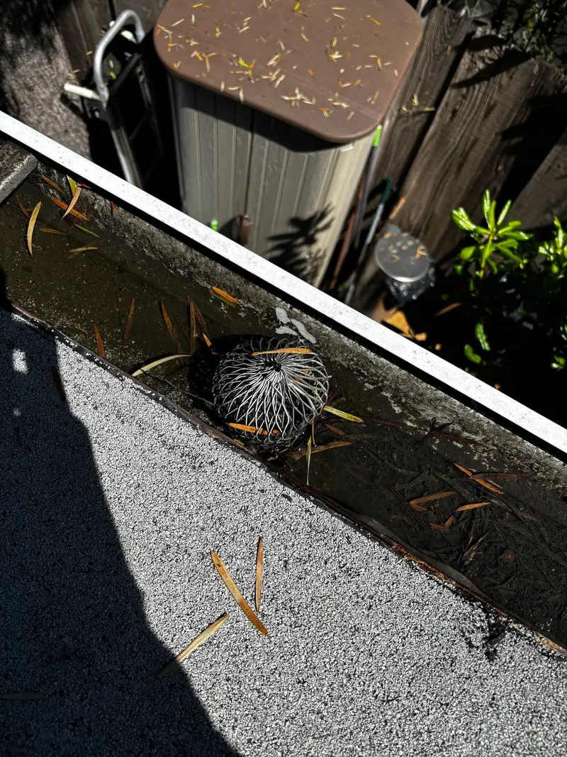 A gutter packed with leaves and debris before cleaning