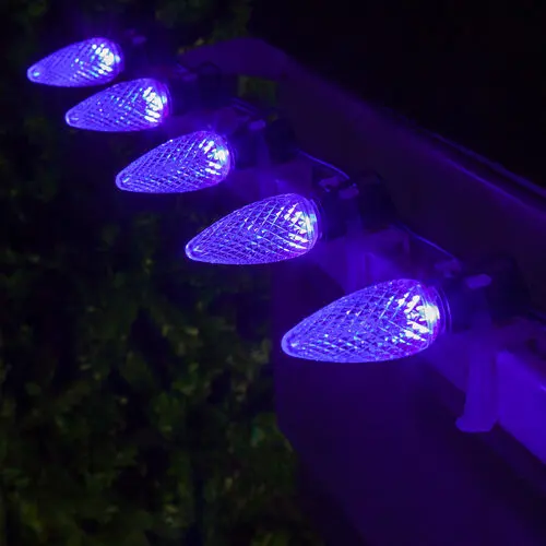 Purple bulbs on a roofline