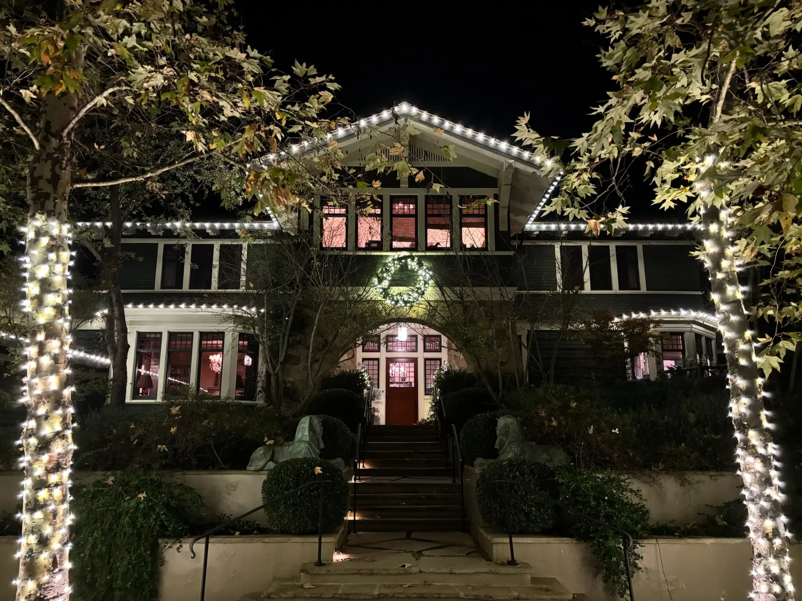 Holiday Lights in Brentwood