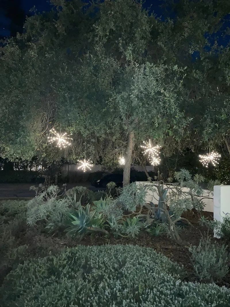 Warm white starburst spritzers lit up in a tree above a garden bed at night